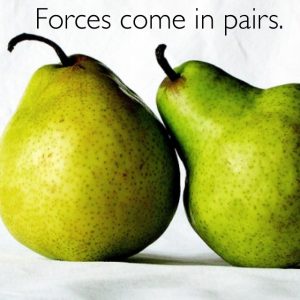 forcesinpairs