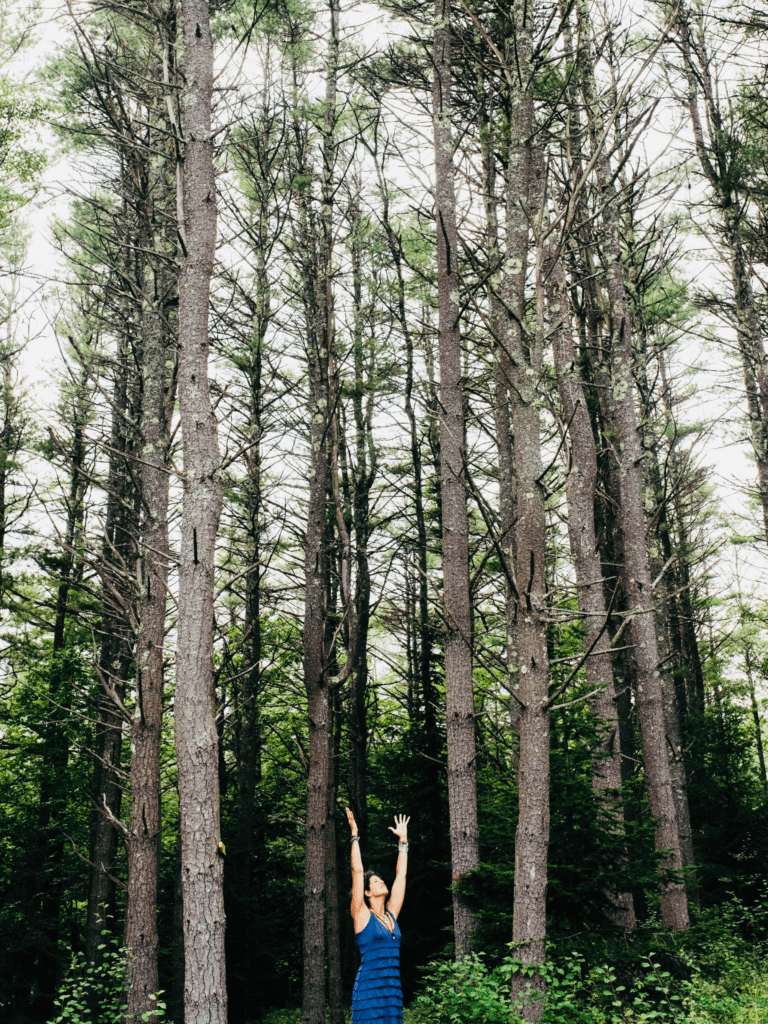 stand-tall-10-different-practices-to-root-as-you-rise-shechanges