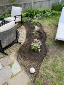 Garden with dirt and flowers.